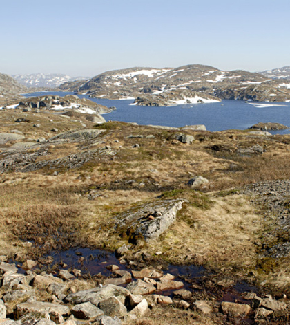 An international team of scientists formed the Permafrost Carbon Network to help gather and share information about greenhouse gas emissions and climate change. (Credit: Robert Rozbora / Fotolia)