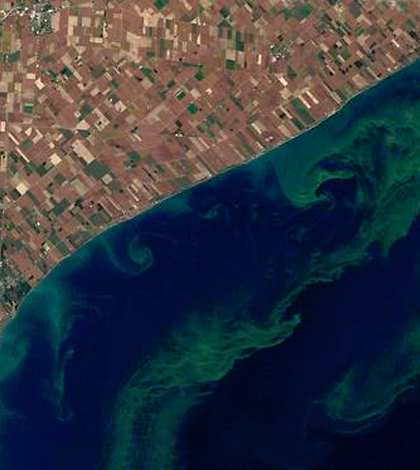 Agencies hope to use satellites to detect harmful algal blooms. (Credit: USGS / NASA Earth Observatory)