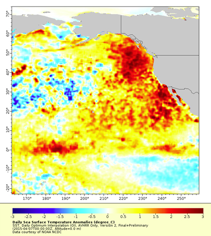 the blob pacific ocean