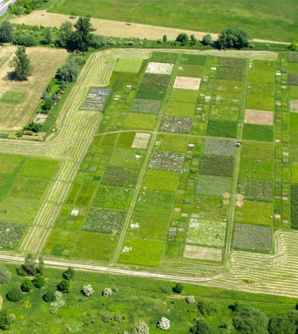 ecosystem multifunctionality / The study examined biodiversity experiments on land, such as this manipulated grassland in Germany, as well as underwater. (Credit Dr. Nico Eisenhauer)