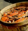 The Chesapeake blue crab — which turns reddish orange when cooked — could disappear from the bay within a century if water quality and fishing pressure don’t improve. (Credit: Maryland GovPics/CC BY 2.0)