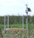 An Airmar 150WX Ultrasonic Weather Station sits on top of a solar-powered NexSens data logging system in a vegetated wetland overseen by the South Florida Water Management District. (Credit: Zaki Moustafa, SFWMD)