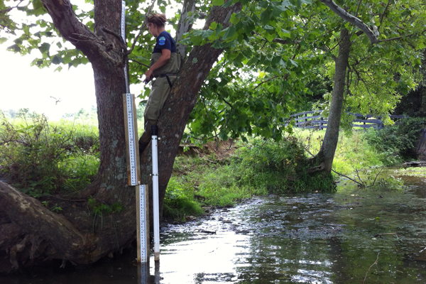 Transducers are deployed in PVC pipes along Strodes Creek. (Credit: Jessica Schuster)