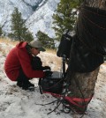 wilderness / John Whiting downloads data at a mixed precipitation sap flow site within Pioneer Creek watershed in the Frank Church River of No Return Wilderness. The black fabric covering the equipment enclosure and a section of the Douglas Fir trunk is for camouflage from potential hikers or hunters that come through the area, but also seems to keep bears from tearing into the equipment. The white sensor hanging off the tree is a temperature and relative humidity sensor which allows for calculating vapor pressure deficit. The sap flow sensors are insulated underneath the black fabric and other insulating layers around the tree trunk. (Credit: Chris Connors)