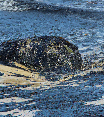 Oil from the Refugio Oil Spill. (Credit: Zackmann08/CC BY-SA 3.0)