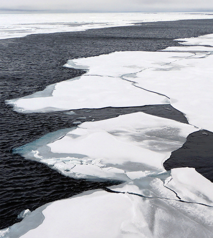 Arctic sea ice. (Credit: NOAA)