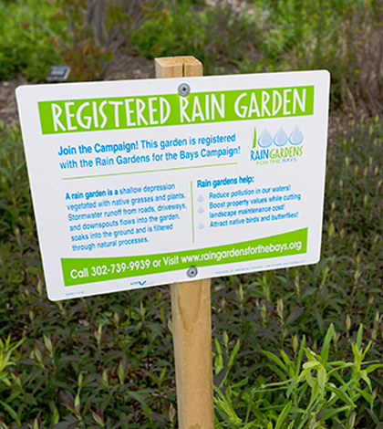 Sea Grant partners are offering a popular Rain Garden app for homeowners in the Mid-Atlantic. (Courtesy of the University of Delaware)