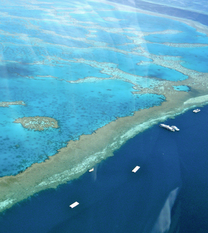 Great Barrier Reef. (Credit: Sarah Ackerman/CC BY 2.0)