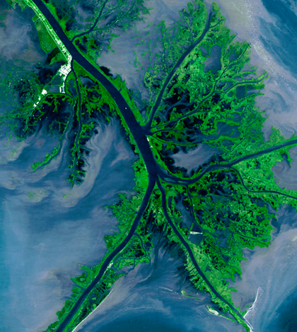 Mississippi birdfoot delta. (Credit: NASA Landsat)