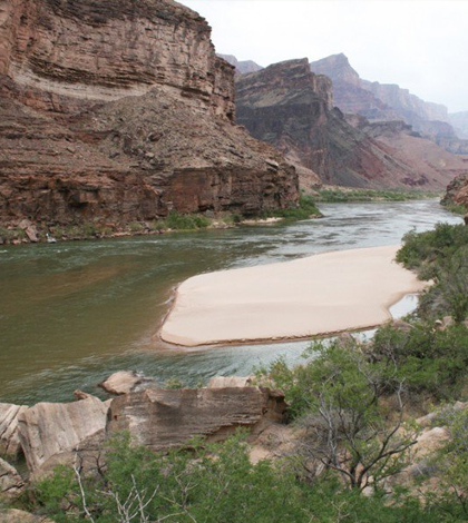 A sandbar deposited by a controlled flood in the Grand Canyon section of the Colorado River. (Credit: Matt Kaplinski, Northern Arizona University)