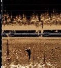 Side-scan sonar can provide a clear view beneath the water surface. (Courtesy of Tritech)