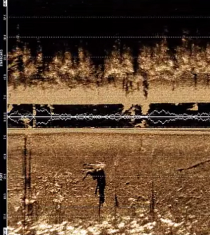 Side-scan sonar can provide a clear view beneath the water surface. (Courtesy of Tritech)