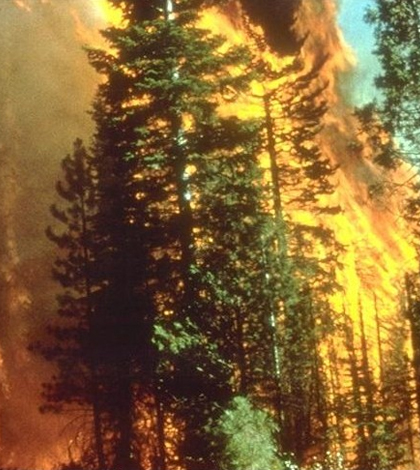 California wildfire. (Credit: Bureau of Land Management)