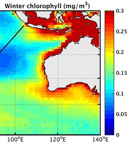 Average chlorophyll in the Indian ocean, taken from satellite. (Credit: CSIRO)