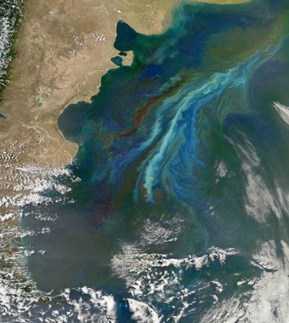 The MODIS instrument onboard NASA’s Terra satellite scans for the characteristic green of chlorophyll to detect phytoplankton blooms. (Credit: NASA Earth Observatory)