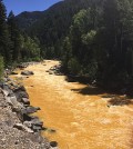 The Animas River in Colorado shortly after the Gold King Mine waste water spill. (Credit: Riverhugger/CC BY-SA 4.0)