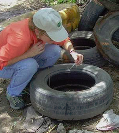 NCAR scientist Mary Hayden takes a water sample to test for dengue-carrying mosquitoes. (Courtesy of Mary Hayden / NCAR)