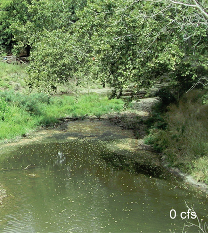 Cedar Creek is a typical intermittent stream with flow rates changing drastically from year to year. (Credit: USGS)