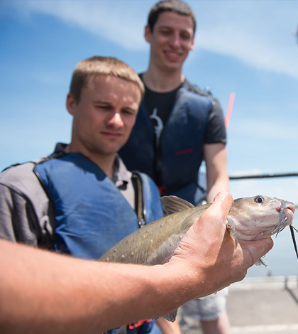 The LACMRERS class is a hands-on experience for students. (Credit: University of Iowa)