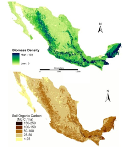 Above-ground biomass density and soil organic carbon data. (Credit: Paz, Vargas, et al.)