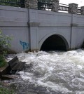 A stream site left unaccessible by the high waters. (Credit: Minnehaha Creek Watershed District)