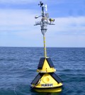 Purdue University and Illinois-Indiana Sea Grant deployed this environmental-sensing buoy in the Lake Michigan nearshore to provide information such as wind speed, air and water temperature, and wave height and direction for boaters and beachgoers. (Credit: Irene Miles / Illinois-Indiana Sea Grant)
