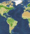 Researchers updated the global tree count estimate. (Courtesy of Yale)