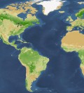 Researchers updated the global tree count estimate. (Courtesy of Yale)