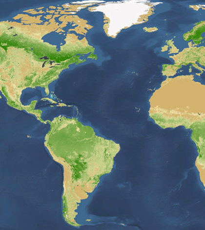 Researchers updated the global tree count estimate. (Courtesy of Yale)