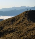 Researchers enjoy the sunrise at the Tres Cruces lookout in Manu National Park in the southern Peruvian Andes (Credit: Kenneth Feeley).