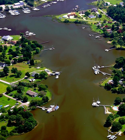 Algae bloom in and around Perrin Creek, near Chesapeake Bay. (Credit: Wolfgang Vogelbein, Virginia Institute of Marine Science)