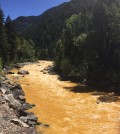 The Animas River between Silverton and Durango in Colorado, within 24 hours of the 2015 Gold King Mine waste spill. (Credit: Riverhugger via Creative Commons 4.0)