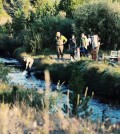 Students explore the diversity of life on campus. (Courtesy of Colorado State University)