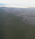 Boreal forest fire from 2007. (Credit: Colocho/CC BY-SA 3.0)