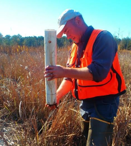 One of the low salinity tidal forest wetlands (dominated by baldcypress trees) along the Waccamaw River. (Credit: Matt Ricker, Bloomsburg University)