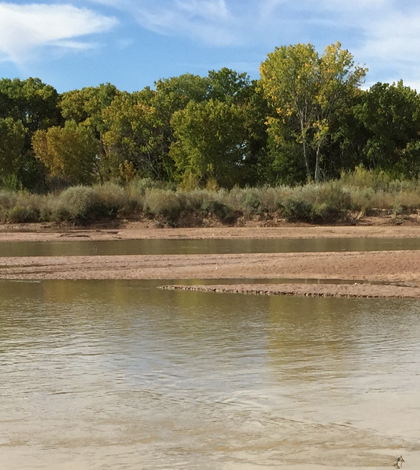 The Rio Grande River. (Credit: Aaron Hilf / University of New Mexico)