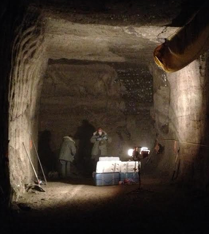 permafrost carbon Scientists collect yedoma from a newly excavated permafrost tunnel. Plant roots and woody biomass preserved in the permafrost yedoma hang from the ceiling of the tunnel. (Credit: Travis Drake)