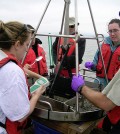 Researchers look for the source of contaminants in the San Francisco Bay. (Credit: University of Minnesota College of Science and Engineering)