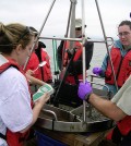 Researchers look for the source of contaminants in the San Francisco Bay. (Credit: University of Minnesota College of Science and Engineering)