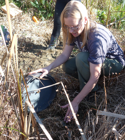 Kristy Hopfensperger inspects a gas-catching chamber after sampling. (Credit: Daniel Kelly / Fondriest Environmental)