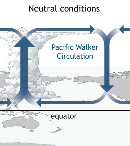 Walker Circulation. (Credit: NOAA)