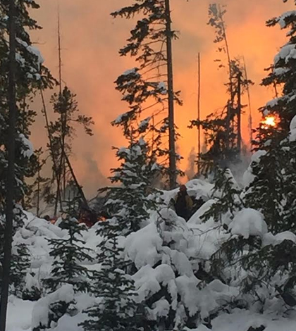 Tunnel Hill Fire, Colorado. (Credit: Arapaho and Roosevelt National Forests & Pawnee National Grassland / U.S. Forest Service)