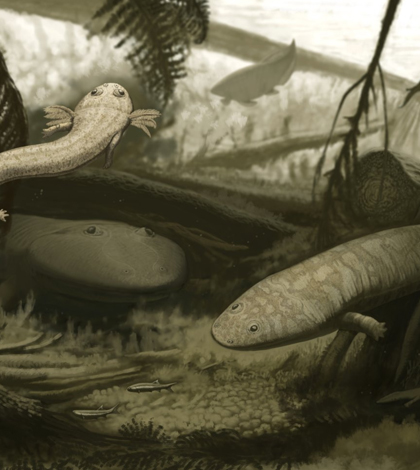Reconstruction of the ancient Brazilian community, showing the species Timonya anneae (left) and Procuhy nazariensis (right). (Credit: Andrey Atuchin)