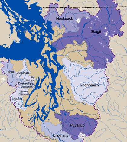 Purple shading shows how much of each watershed's area is covered by glacier. (Credit: Robert Norheim / UW Climate impacts Group)