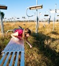 Elizabeth Carlisle checks soil microbes in a +Heat plot. (Credit: Danny Walls)