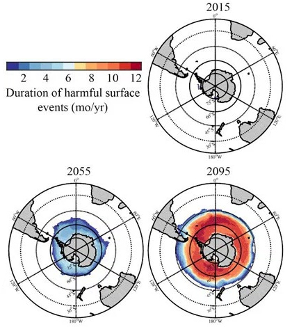 Duration of harmful surface events for today, 2055 and 2095. (Credit: Nina Bednarsek / NOAA)