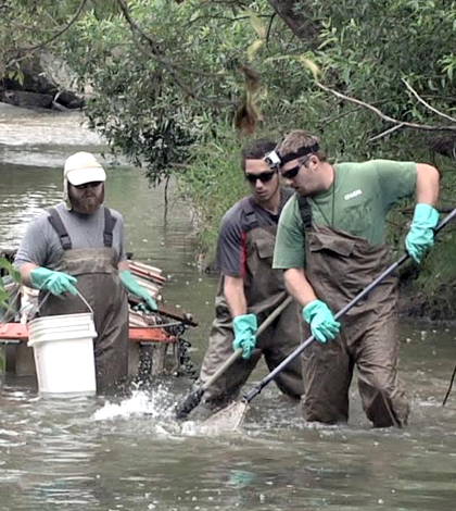 Ohio EPA staff collect fish to monitor stream nutrient levels. (Credit: Ohio EPA)