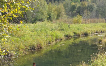 With Twisp River Stream Restoration Finished, Foundation Tracks Wetland Impacts
