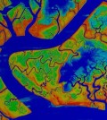 Aerial image with false colors to show marsh elevations in the Venice Lagoon. (Credit: Marco Marani / Duke University)