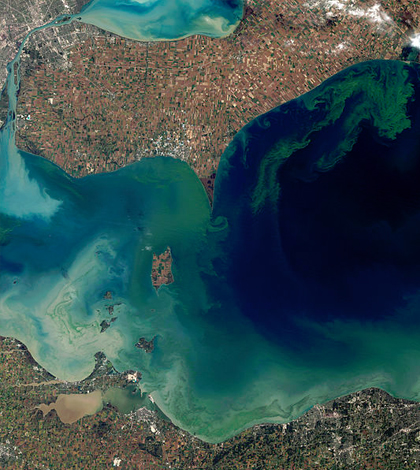 Algal bloom in Lake Erie, Oct. 5, 2011. (Credit: NASA)
